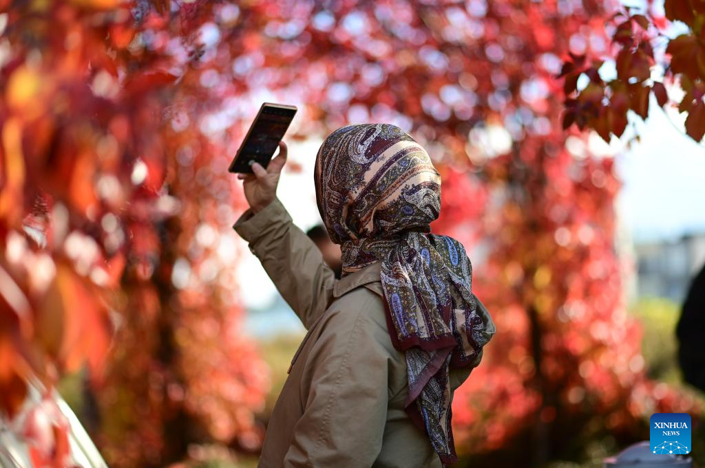 A woman takes photos at the rooftop garden of the University of Warsaw in Warsaw, Poland on Oct. 13, 2025. In recent days, the garden's vegetation has taken on autumn colors, attracting many visitors. (Photo by Aleksy Witwicki/Xinhua)