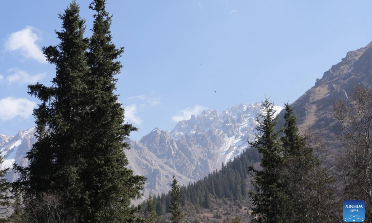 This photo taken on Oct. 19, 2025 shows the scenery in the Ala-Archa National Park, some 30 kilometers away from Bishkek, Kyrgyzstan. (Xinhua/Jiang Youlin)