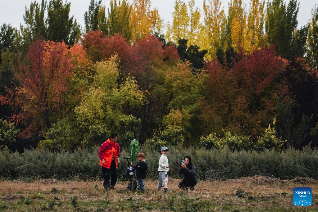 Tourists enjoy the autumn scenery in the Changchun Botanical Garden in Changchun, northeast China's Jilin Province, on Oct. 12, 2025. (Photo: Xinhua)
