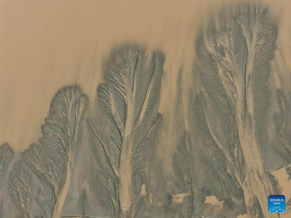 An aerial drone photo taken on Oct. 11, 2025 shows a view of the tidal flat after the tidal bore of Qiantang River receded, in Haining City, east China's Zhejiang Province. The Qiantang River tidal bore, famous for its height and speed, is a traditional tourist attraction in Zhejiang Province. Every year, soaring waves crash along the banks of the river, near the city of Haining. After the ebb of the tide, different tree-shaped patterns appear on the tidal flat. (Photo: Xinhua)
