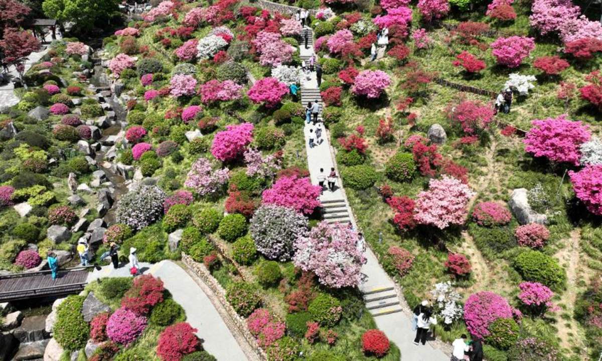 An aerial drone photo shows people admiring blossoms at a scenic spot in Deqing County, east China's Zhejiang Province, April 13, 2025. (Photo by Xie Shangguo/Xinhua)