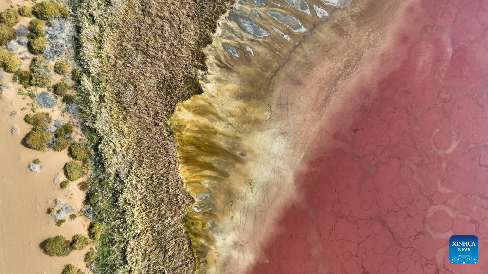 An aerial drone photo taken on Oct. 22, 2025 shows a lake in the Badain Jaran Desert in Alxa Right Banner, the Alxa League of north China's Inner Mongolia Autonomous Region. The Badain Jaran Desert was included on the World Heritage List in July 2024. (Xinhua/Bei He)