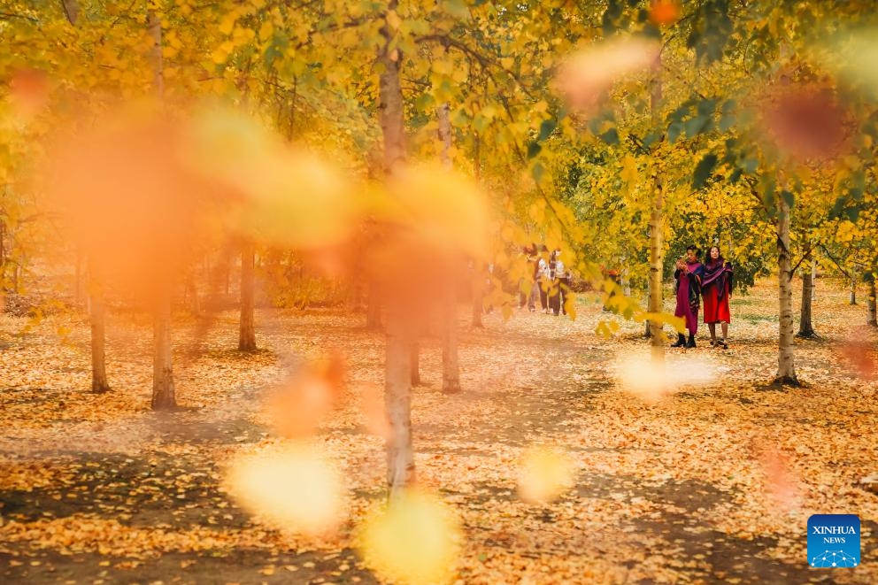 Tourists enjoy the autumn scenery in the Changchun Botanical Garden in Changchun, northeast China's Jilin Province, on Oct. 12, 2025. (Photo: Xinhua)