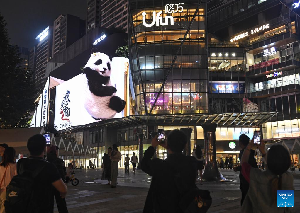 People take photos of a glasses-free 3D panda on a street in Chengdu, southwest China's Sichuan Province, Oct. 14, 2025. The glasses-free 3D pandas here have won the hearts of both residents and tourists since its debut in 2024, becoming a must-visit spot in the city. (Xinhua/Liu Kun)