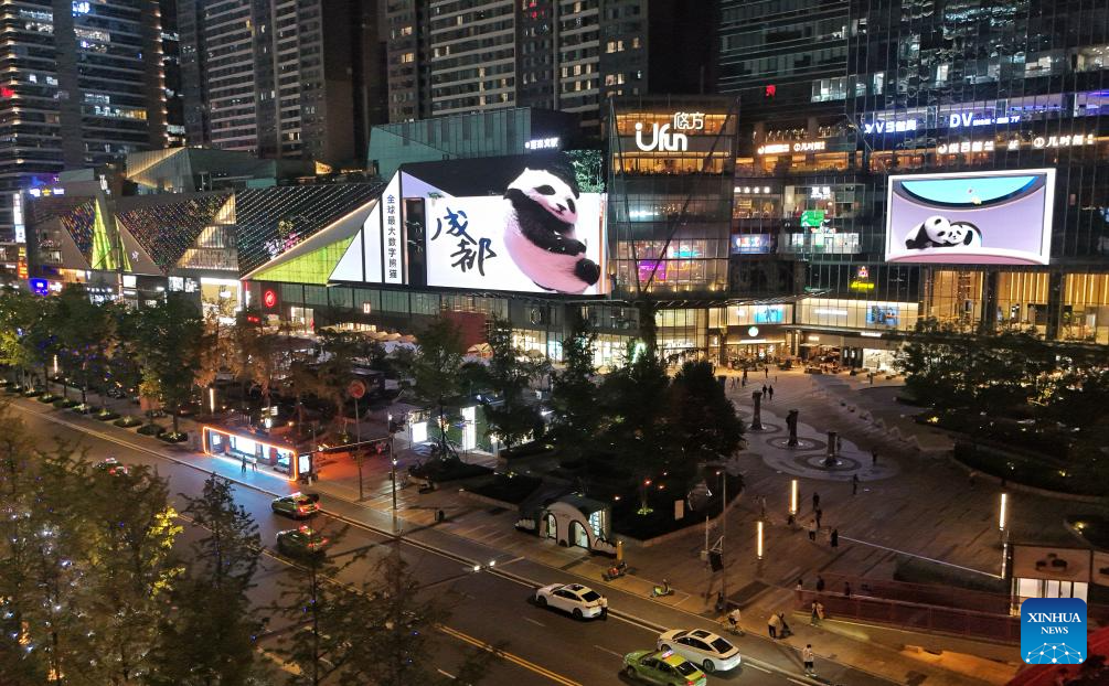 A drone photo taken on Oct. 14, 2025 shows glasses-free 3D pandas along a street in Chengdu, southwest China's Sichuan Province. The glasses-free 3D pandas here have won the hearts of both residents and tourists since its debut in 2024, becoming a must-visit spot in the city. (Xinhua/Liu Kun)