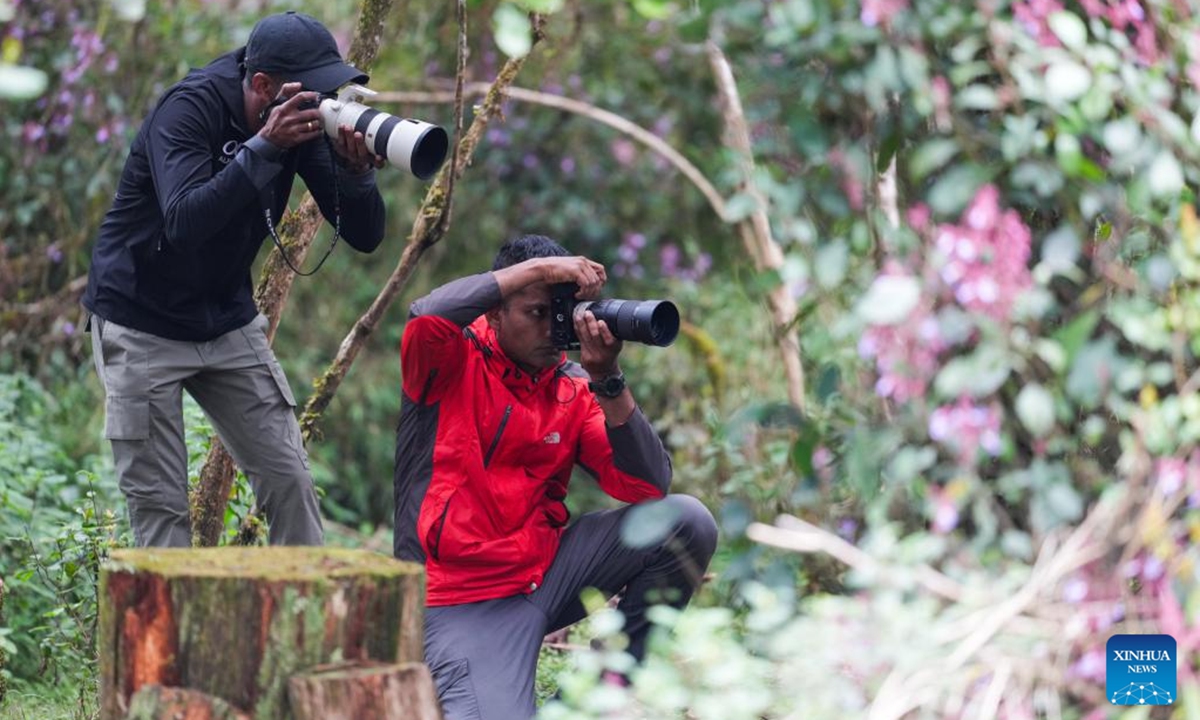 Photographers take pictures of flowers at Horton Plains National Park in Nuwara Eliya, Sri Lanka, on Oct. 15, 2025. Horton Plains National Park, located in the central highlands of Sri Lanka at an elevation of over 2,000 meters, is one of the island's highest plateau ecosystems and the source of several major rivers.
Its landscape is a mosaic of cloud forests and montane grasslands, nurturing remarkable biodiversity and home to numerous species found only in Sri Lanka. (Photo by Thilina Kaluthotage/Xinhua)