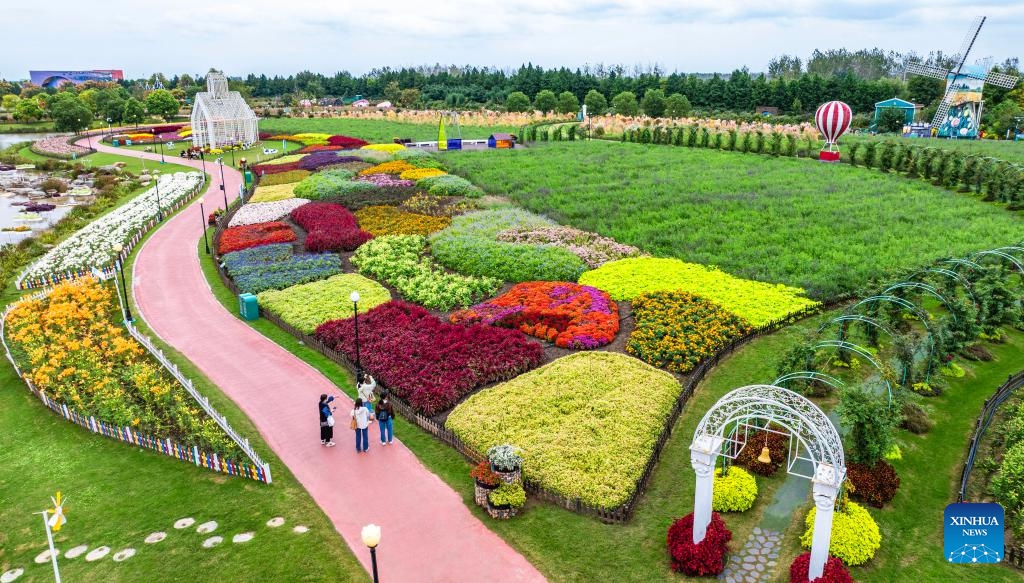 An aerial drone photo taken on Oct. 19, 2025 shows tourists visiting a scenic area in Dafeng District of Yancheng, east China's Jiangsu Province. People are heading outdoors to enjoy the pleasant autumn days across China. (Photo: Xinhua)
