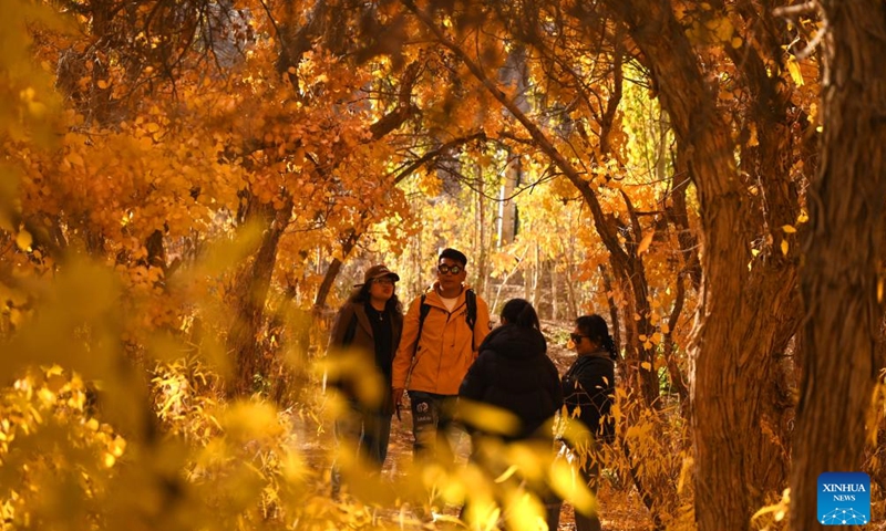 Tourists enjoy sightseeing in a populus euphratica forest in Mogao Town of Dunhuang, northwest China's Gansu Province, Oct. 19, 2025. People are heading outdoors to enjoy the pleasant autumn days across China. (Photo: Xinhua)