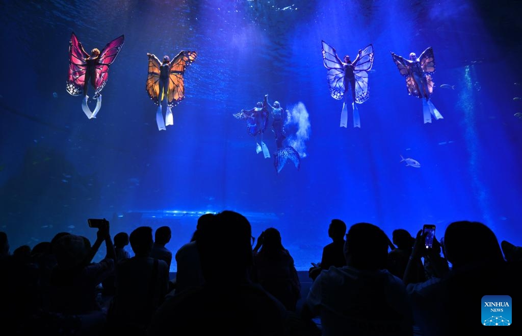 Tourists watch an underwater show at Hainan Ocean Paradise Resort in Lingshui Li Autonomous County in south China's Hainan Province, Oct. 18, 2025. Many tourists choose to travel off-peak to China's island province of Hainan, a popular tourist destination, as prices of transport and accommodation dip following China's National Day holiday. (Photo: Xinhua)