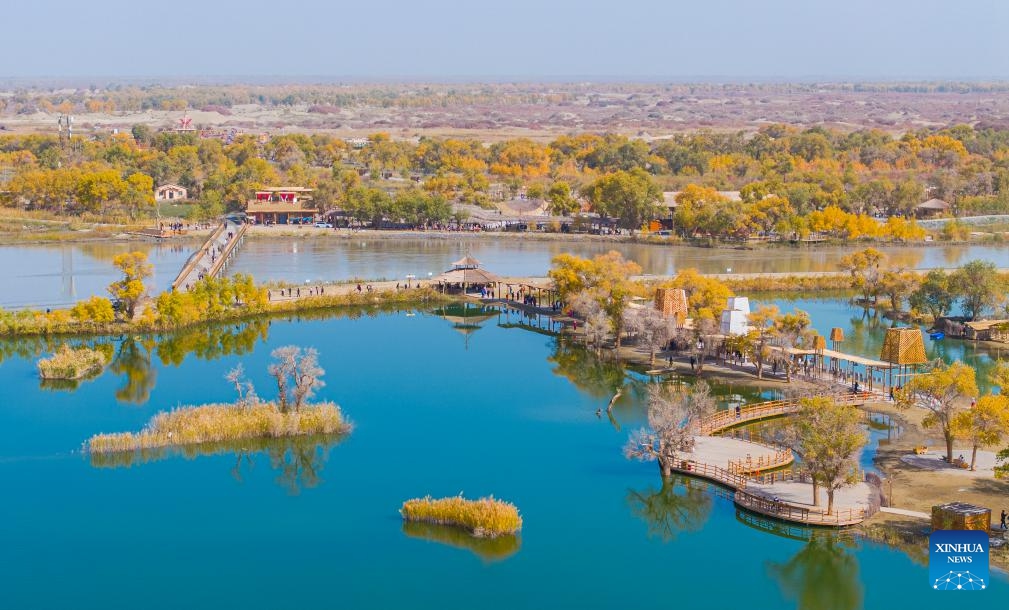 A drone photo taken on Oct. 18, 2025 shows a view at a scenic spot in Yuli County, Mongolian Autonomous Prefecture of Bayingolin, northwest China's Xinjiang Uygur Autonomous Region. The populus euphratica forests and the Tarim River present a breathtaking autumn scene in the desert, attracting many tourists to Xinjiang. (Photo: Xinhua)