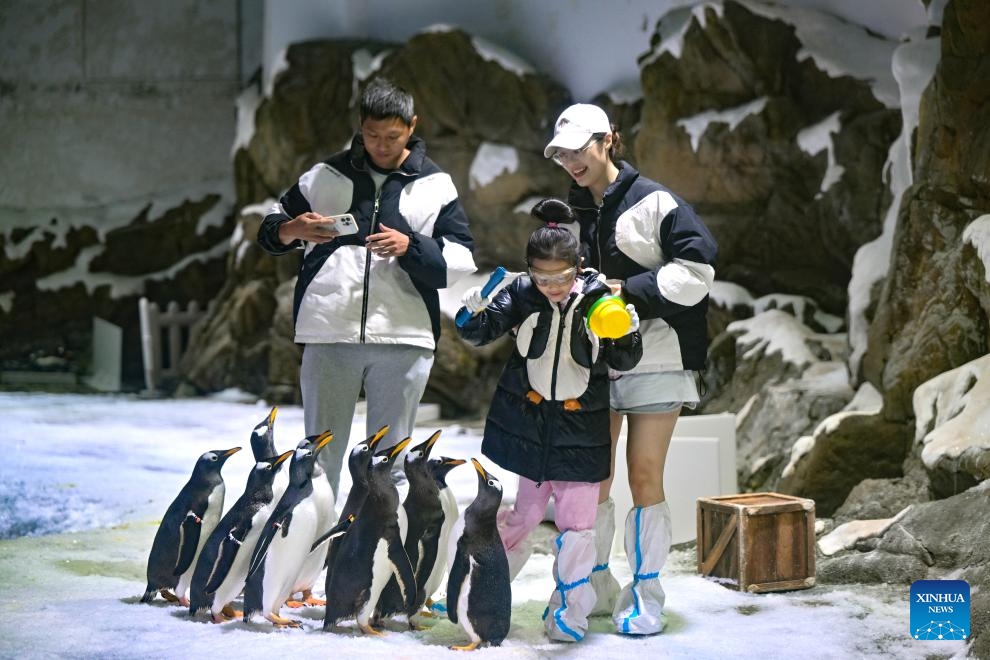 Tourists visit Hainan Ocean Paradise Resort in Lingshui Li Autonomous County in south China's Hainan Province, Oct. 18, 2025. Many tourists choose to travel off-peak to China's island province of Hainan, a popular tourist destination, as prices of transport and accommodation dip following China's National Day holiday. (Photo: Xinhua)