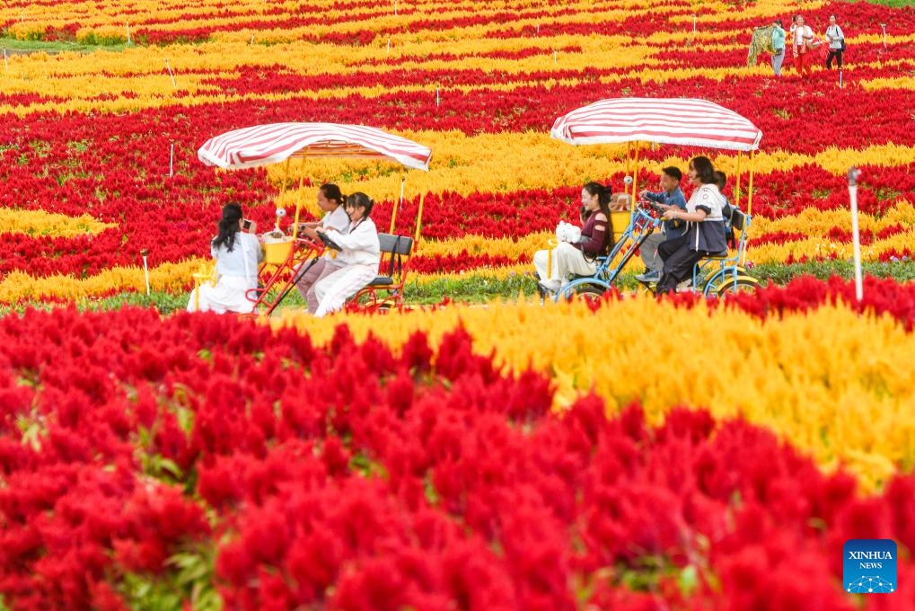 Tourists enjoy sightseeing at a scenic area in Fuchuan Yao Autonomous County, south China's Guangxi Zhuang Autonomous Region, on Oct. 19. 2025. People are heading outdoors to enjoy the pleasant autumn days across China. (Photo: Xinhua)