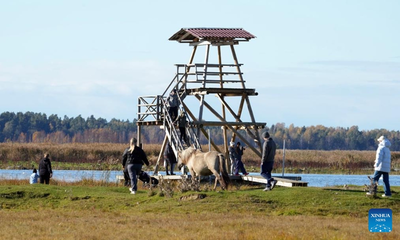 People enjoy the autumn scenery at a nature park in Engure, at the seashore of the Gulf of Riga, Latvia, Oct. 19, 2025. (Photo: Xinhua)