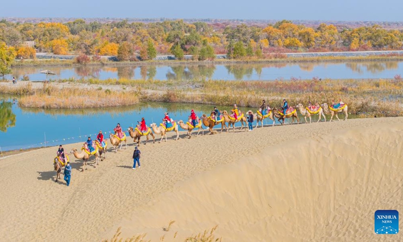 A drone photo taken on Oct. 18, 2025 shows tourists riding camels at a scenic spot in Yuli County, Mongolian Autonomous Prefecture of Bayingolin, northwest China's Xinjiang Uygur Autonomous Region. The populus euphratica forests and the Tarim River present a breathtaking autumn scene in the desert, attracting many tourists to Xinjiang. (Photo: Xinhua)