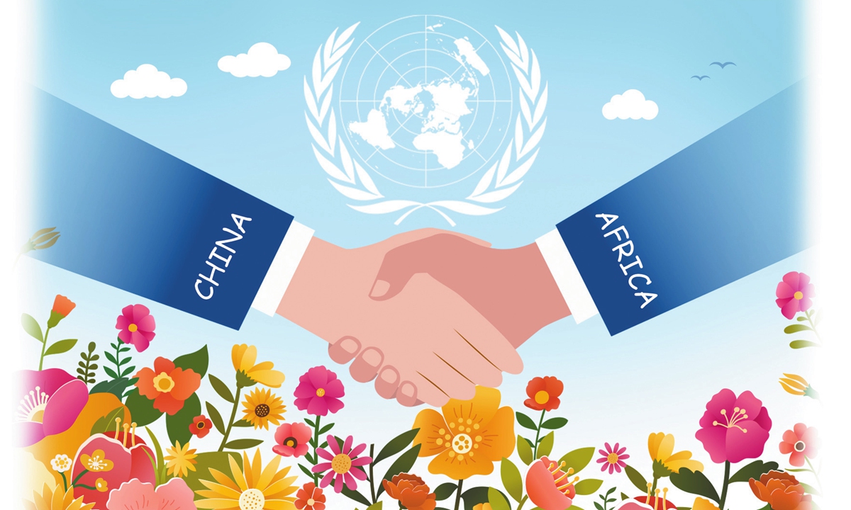Witnessing China-Africa cooperation within UN framework
