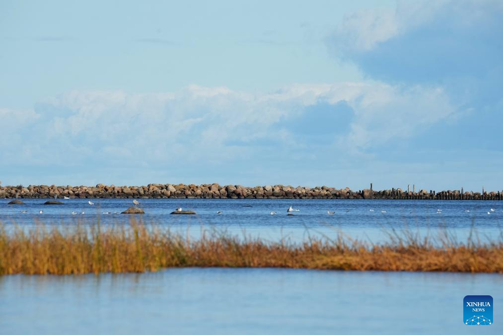 This photo taken on Oct. 19, 2025 shows a pier near Engure, at the seashore of the Gulf of Riga, Latvia. (Photo: Xinhua)
