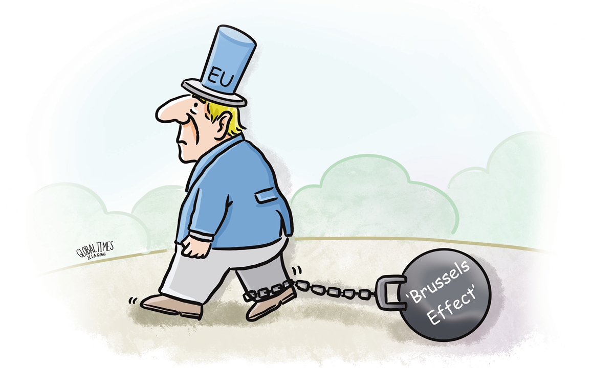 EU's ambitious normative efforts are creating self-inflicted damage