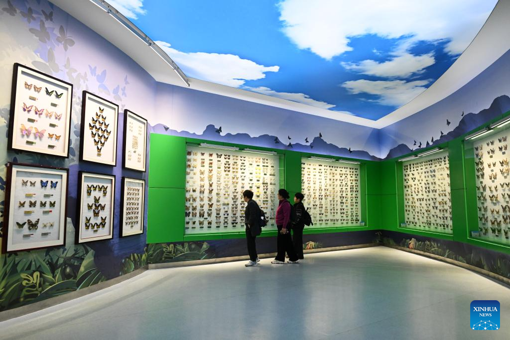 Tourists visit the Insect Museum at the Northwest A&F University Exposition Park in Yangling, northwest China's Shaanxi Province, Oct. 26, 2025. (Xinhua/Li Yibo)