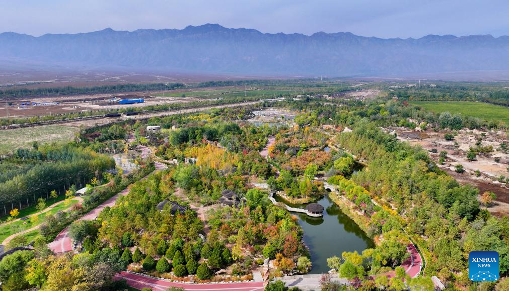 An aerial drone photo taken on Oct. 14, 2025 shows the autumn scenery of Xixia District of Yinchuan, northwest China's Ningxia Hui Autonomous Region. (Photo by Li Jing/Xinhua)
