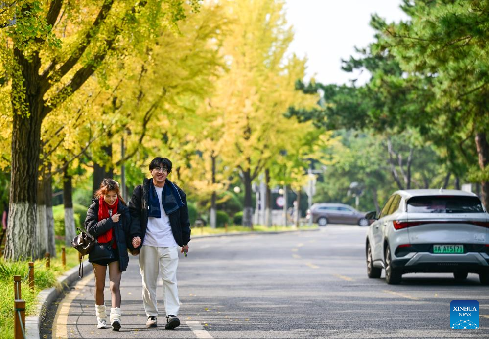 A couple walk at the campus of Tsinghua University in Beijing, capital of China, Oct. 23, 2025. (Xinhua/Chen Yehua)
