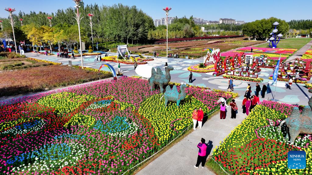 An aerial drone photo taken on Oct. 17, 2025 shows the autumn scenery of a flower expo park in Yinchuan, northwest China's Ningxia Hui Autonomous Region. (Photo by Li Jing/Xinhua)