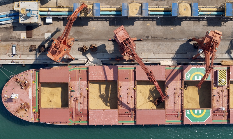Imported soybeans from Brazil are being unloaded from the ship at the Longkou Port in Yantai, East China’s Shandong Province, on June 17, 2025. Photo: CFP