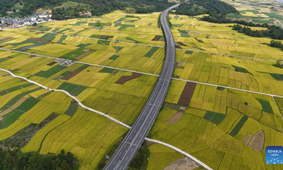 This aerial drone photo taken on Oct. 23, 2025 shows a view of paddy fields in Hehua Town of Tengchong City, southwest China's Yunnan Province. (Photo by Zhao Hui/Xinhua)
