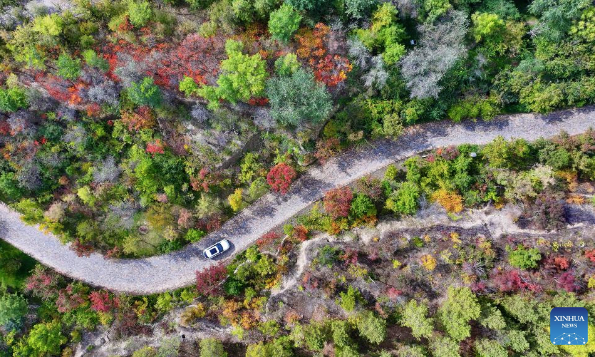 An aerial drone photo taken on Oct. 14, 2025 shows the autumn scenery of Xixia District of Yinchuan, northwest China's Ningxia Hui Autonomous Region. (Photo by Li Jing/Xinhua)