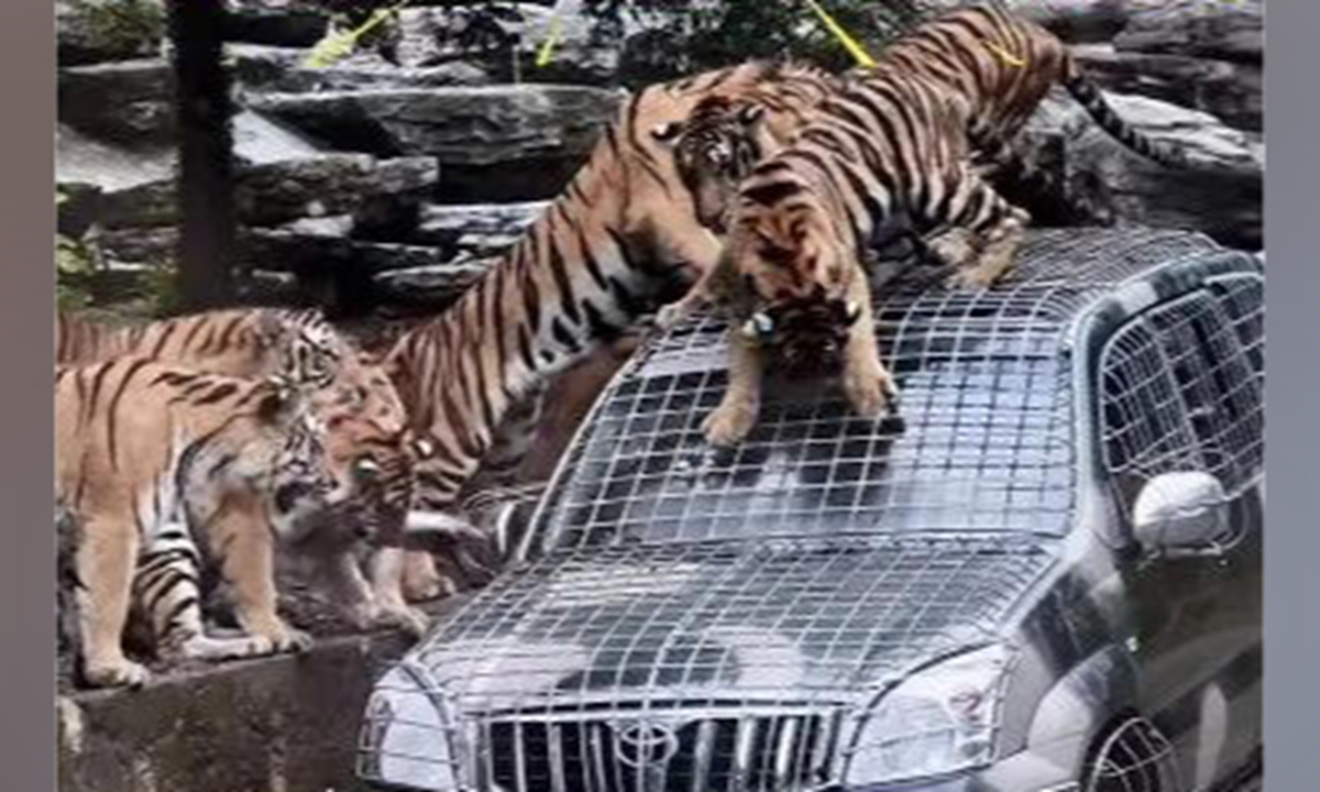 Photo: Screenshot from media report