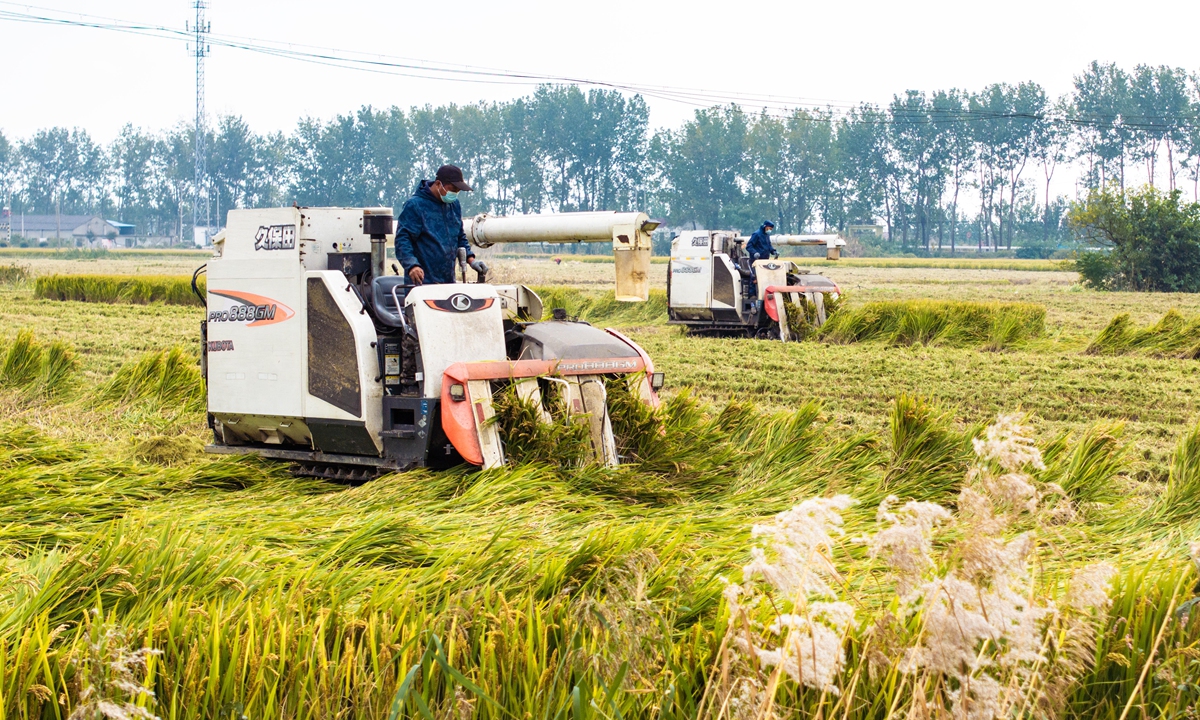 Farmers operate combine harvesters to reap late-season rice in a village in Xinghua, East China's Jiangsu Province, on October 26, 2025. As late autumn sets in, farmers in Zhouzhuang Town, Xinghua, are taking advantage of the fine weather to harvest their ripened late rice. Photo: VCG