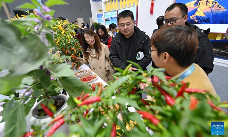 Visitors learn about potted vegetables at the 32nd China Yangling Agricultural Hi-tech Fair in Yangling, northwest China's Shaanxi Province, Oct. 25, 2025. Featuring innovations in agricultural high-tech achievements, the 32nd China Yangling Agricultural Hi-tech Fair kicked off here on Saturday. (Photo: Xinhua)