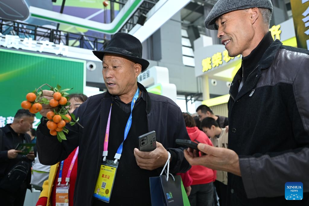 Visitors learn about persimmon varieties at the 32nd China Yangling Agricultural Hi-tech Fair in Yangling, northwest China's Shaanxi Province, Oct. 25, 2025. Featuring innovations in agricultural high-tech achievements, the 32nd China Yangling Agricultural Hi-tech Fair kicked off here on Saturday. (Photo: Xinhua)