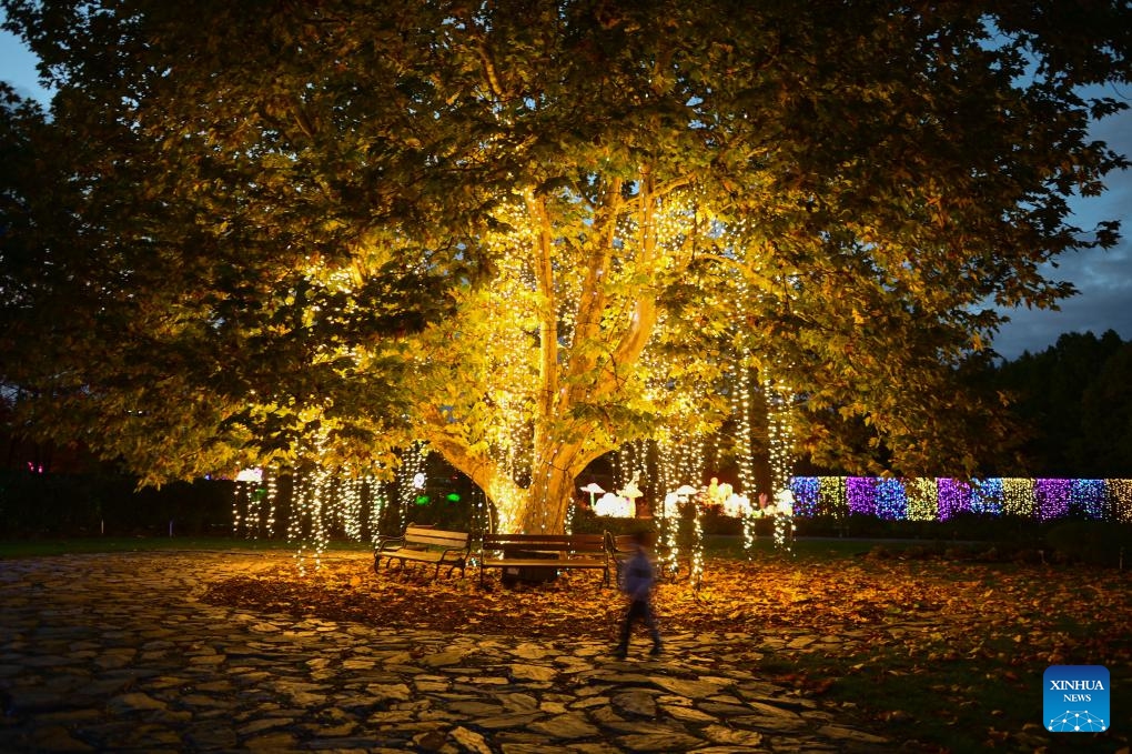 Light installations are seen at the Garden of Lights show at the Botanical Garden of the Polish Academy of Sciences in suburban Warsaw, Poland, on Oct. 25, 2025. This year's exhibition, themed Beauty and the Beast, has attracted many residents and tourists. (Photo: Xinhua)