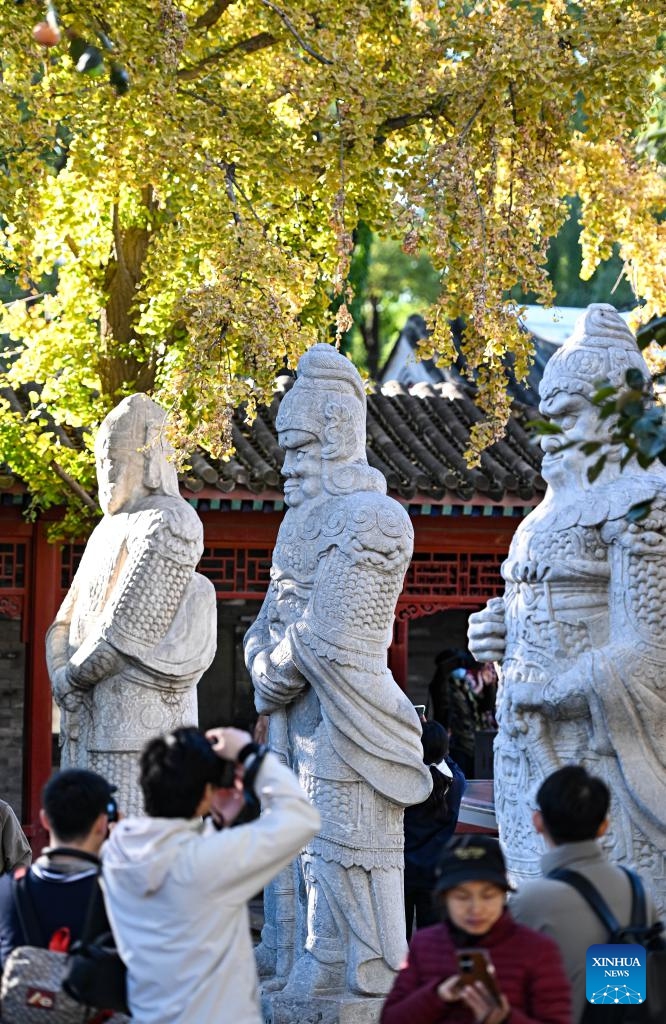 Tourists take photos at the Beijing Stone Carving Art Museum in Beijing, capital of China, Oct. 26, 2025. At this time when autumn enters into winter, the Beijing Stone Carving Art Museum is adorned with yellowing ginkgo leaves, attracting numerous visitors. (Photo: Xinhua)