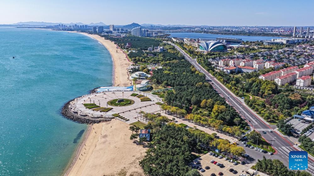 A drone photo taken on Oct. 23, 2025 shows a view of Sanggou Bay in Weihai, east China's Shandong Province. In recent years, Shandong Province has launched initiatives to build beautiful bays through nearshore pollution control, marine ecosystem protection, and coastal environment improvement. The overall quality of the marine ecology here has continued to improve, and six bays across the province have been recognized as outstanding examples of beautiful bays by the Ministry of Ecology and Environment. (Photo: Xinhua)