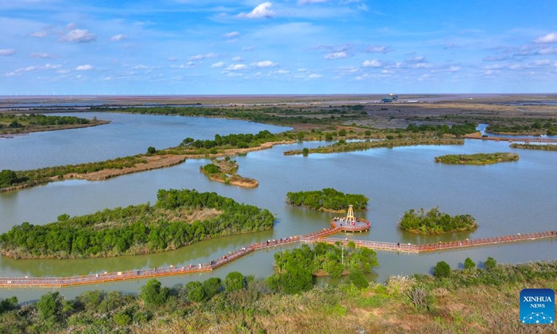 A drone photo taken on Oct. 20, 2025 shows a view of Yellow River Estuary in Dongying, east China's Shandong Province. In recent years, Shandong Province has launched initiatives to build beautiful bays through nearshore pollution control, marine ecosystem protection, and coastal environment improvement. The overall quality of the marine ecology here has continued to improve, and six bays across the province have been recognized as outstanding examples of beautiful bays by the Ministry of Ecology and Environment. (Photo: Xinhua)
