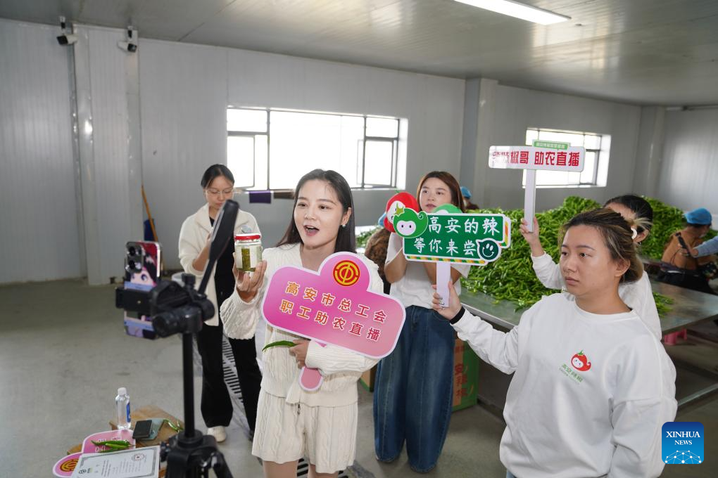 A streamer sells chili peppers via live-streaming at a chili pepper industry park in Shanghu Township of Gao'an City, east China's Jiangxi Province, Oct. 29, 2025. In recent years, the chili pepper industry park in Shanghu Township of Gao'an has actively expanded sales through internet live-streaming and other methods. (Xinhua/Zhou Mi)