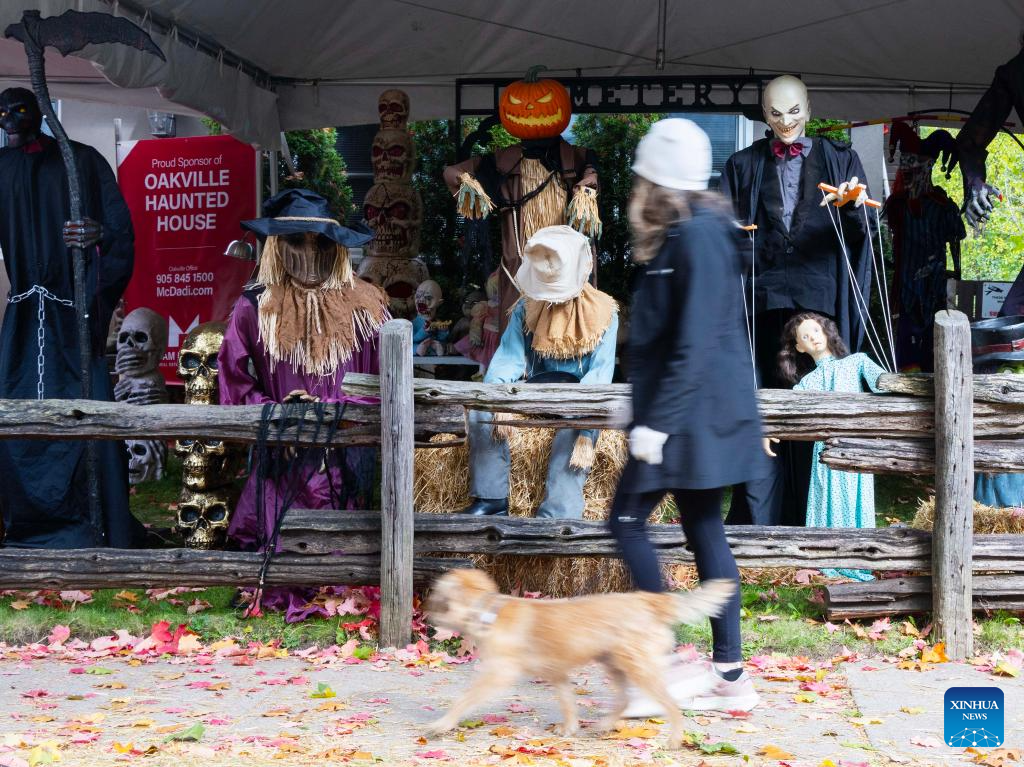 Halloween decorations are seen in front of a house in Oakville, Ontario, Canada, on Oct. 28, 2025. Some residents in Ontario started decorating their houses for the upcoming Halloween. (Photo by Zou Zheng/Xinhua)