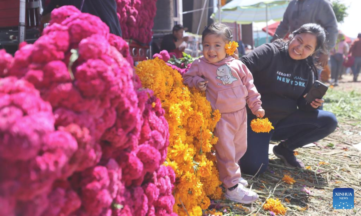 A girl plays with marigold flowers, known as cempasuchil, used during Day of the Dead celebrations, at the central de Abasto market in Mexico City, Oct. 29, 2025. (Xinhua/Li Mengxin)