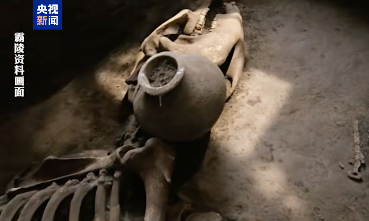 A horse bone unearthed from the mausoleum of Emperor Wen of the Western Han Dynasty Photo: CCTV News