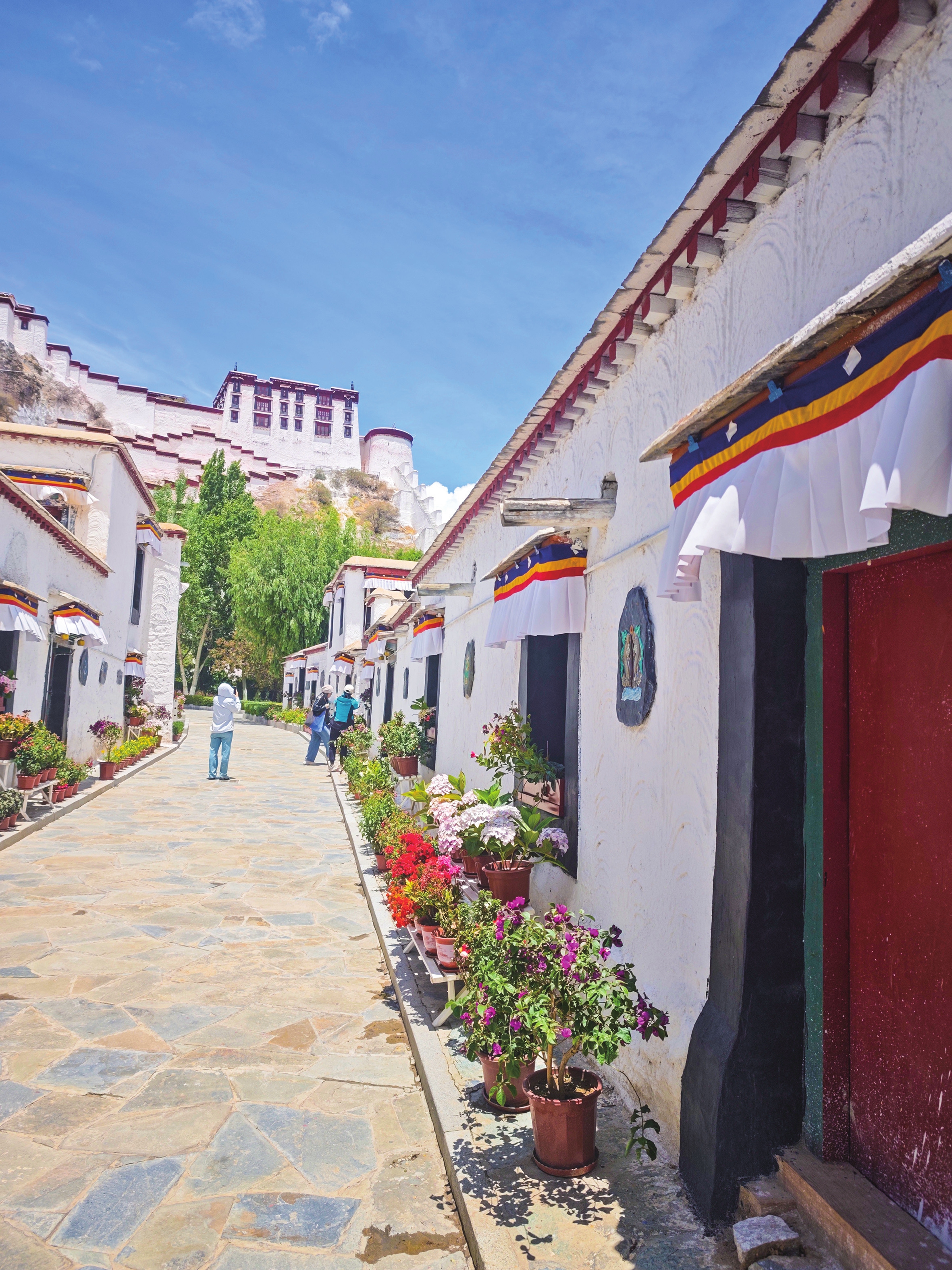 A section of the Potala Palace in Southwest China's Xizang Autonomous Region