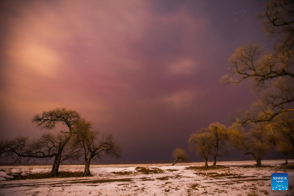 This photo taken on Nov. 12, 2025 shows the aurora seen beneath the clouds in Jiayin County, northeast China's Heilongjiang Province. (Photo by Li Shaojun/Xinhua)