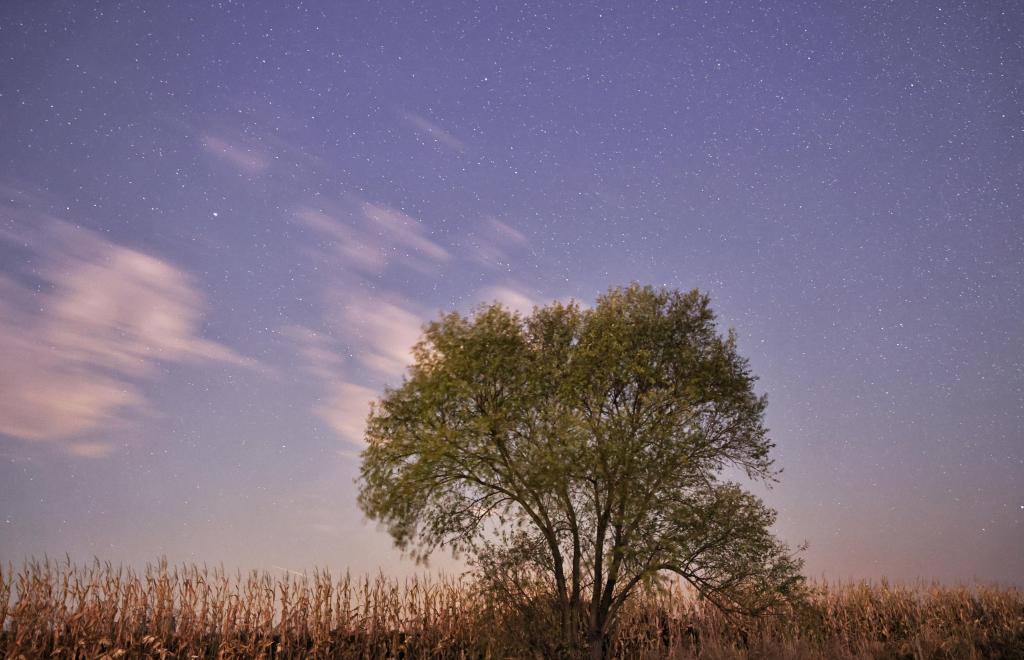 This photo taken on Oct. 30, 2025 shows a tree under the starry night sky in Tongjiang City, northeast China's Heilongjiang Province.

On the autumn nights, quiet and magnificent pictures of starlight in the northernmost province of China are unfolding. (Photo by Liu Wanping/Xinhua)