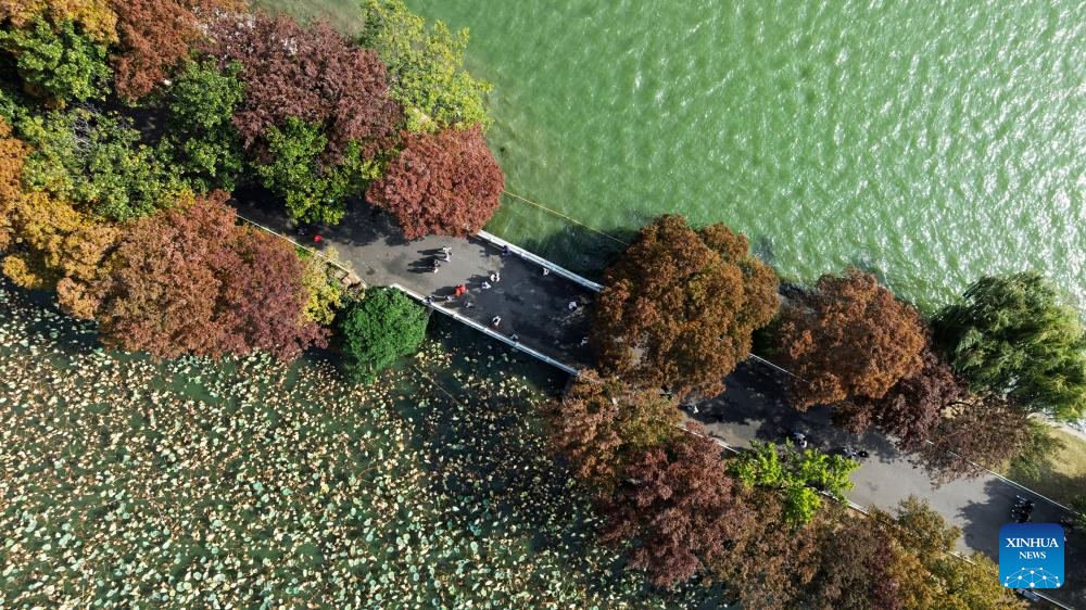 This aerial drone photo taken on Nov. 10, 2025 shows the scenery at Xuanwu Lake Park in Nanjing, east China's Jiangsu Province. (Photo by Sun Zhongnan/Xinhua)