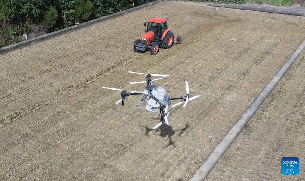 An aerial drone photo shows a drone spraying fertilizer in a field in Yanghzou City, east China's Jiangsu Province, Nov. 3, 2025. As of October 30, over 90% of the autumn grain have been harvested and over 25% of the winter wheat have been sowed across the country. (Photo by Meng Delong/Xinhua)