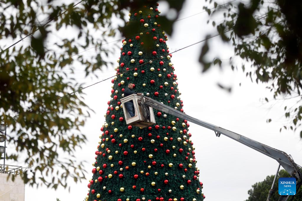 Photo taken on Nov. 25, 2025, shows the installation of a Christmas tree in the Manger Square in the West Bank city of Bethlehem before the Christmas season. The decorations and lighting are expected to be completed in the coming days, ahead of announcing this year's Christmas program. (Photo by Mamoun Wazwaz/Xinhua)