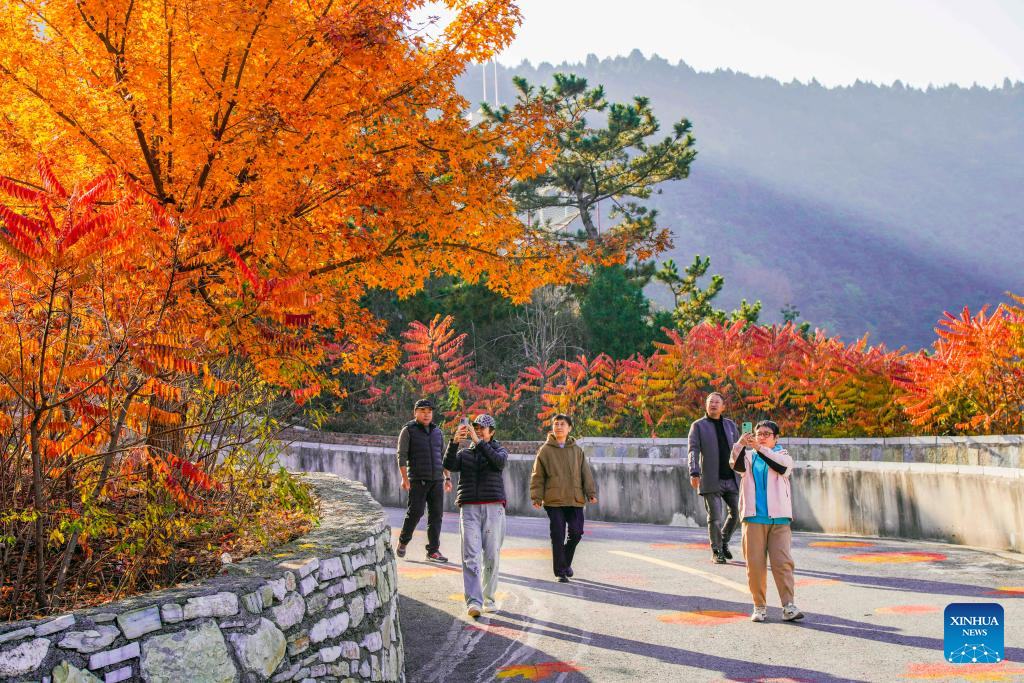 Tourists enjoy autumn scenery in Zunhua City, north China's Hebei Province, Nov. 4, 2025. (Photo by Liu Mancang/Xinhua)