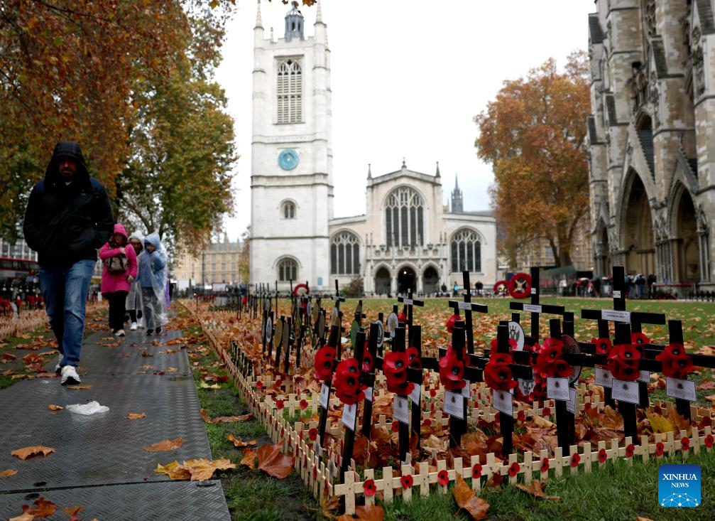 Poppy petals and crosses are seen at the Field of Remembrance on the occasion of Remembrance Day at Westminster Abbey in London, Britain, Nov. 10, 2025. Remembrance Day is observed to remember the sacrifices made by soldiers during the WWI, which ended on Nov. 11, 1918. (Xinhua/Li Ying)