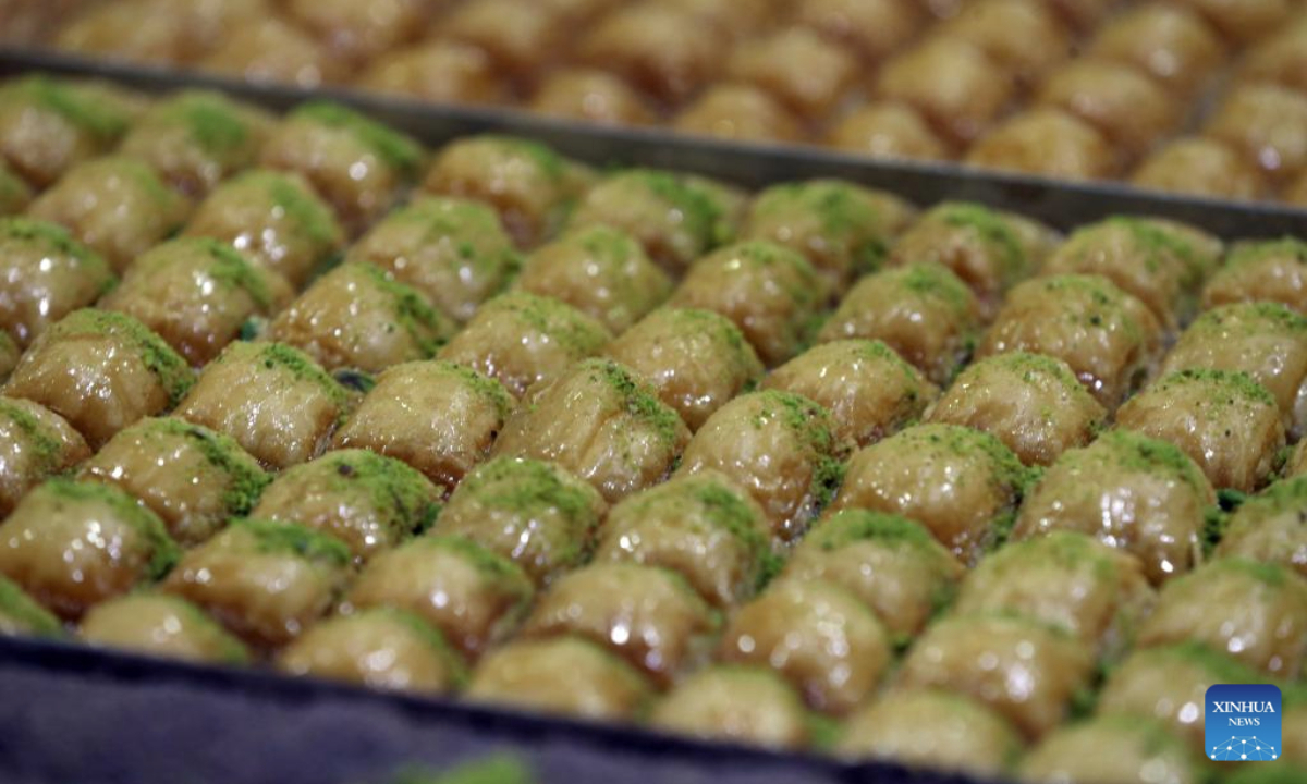 Traditional Turkish dessert baklavas are on display in Ankara, Türkiye, on Nov. 14, 2025. Baklava is a sweet Turkish pastry with layers of filled dough, butter and the smell of sweet syrup. (Mustafa Kaya/Handout via Xinhua)