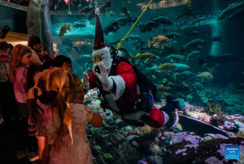 A diver dressed as Santa Claus performs at the Vancouver Aquarium in Vancouver, British Columbia, Canada, Nov. 12, 2025. (Photo by Liang Sen/Xinhua)